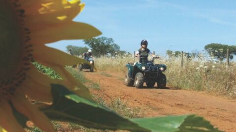 Passeio de quadriciclo - Foto: divulgação/ Vila Galé Clube de Campo