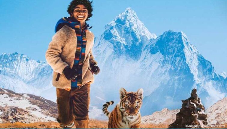 O MENINO E O TIGRE