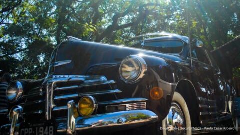 BOSQUE OLD CARS