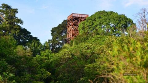 Juma Amazon Lodge - Pernoite na floresta - Grande ABC Cultural