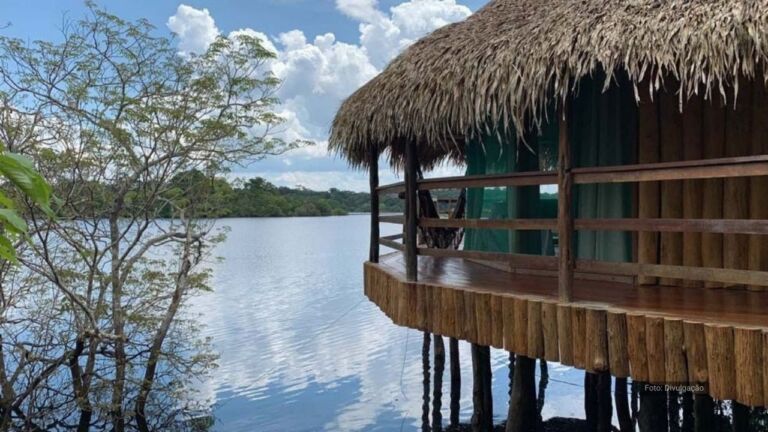 Juma Amazon Lodge - Pernoite na floresta - Grande ABC Cultural