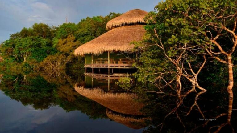 Juma Amazon Lodge | Pernoite na floresta tira hóspedes do óbvio